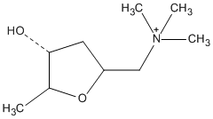 Figure 1. The structural formula of 2S-muscarine.