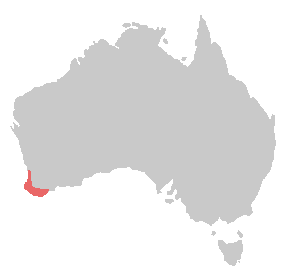 ไฟล์:Bird range map for Calyptorhynchus baudinii-8.png