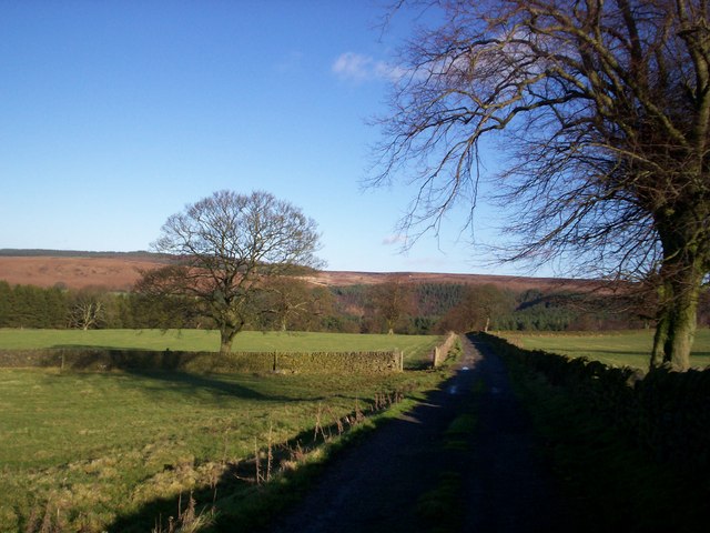 File:Bridleway near Fallinge Edge - geograph.org.uk - 1123852.jpg