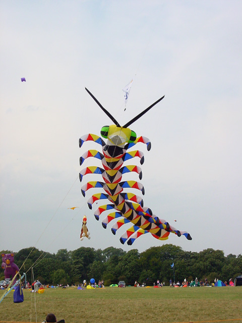 Kite Festival