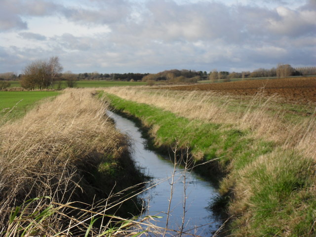 File:Brook between the fields - geograph.org.uk - 1639207.jpg