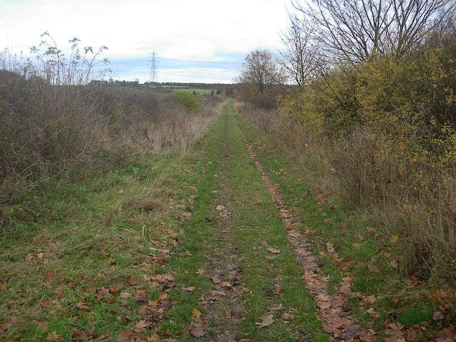 File:Byway from Great Wilbraham - geograph.org.uk - 1047123.jpg