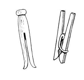 File:Clothespin (PSF).jpg