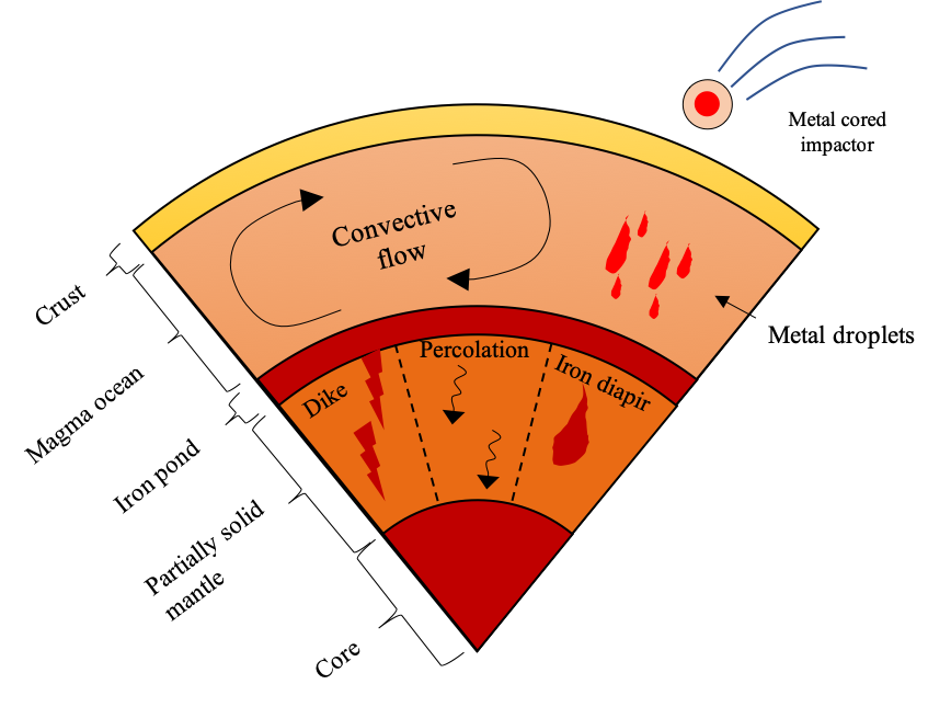 Coremantle Differentiation Wikipedia