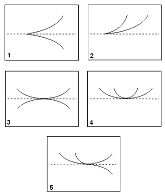 File:Cusps.gif