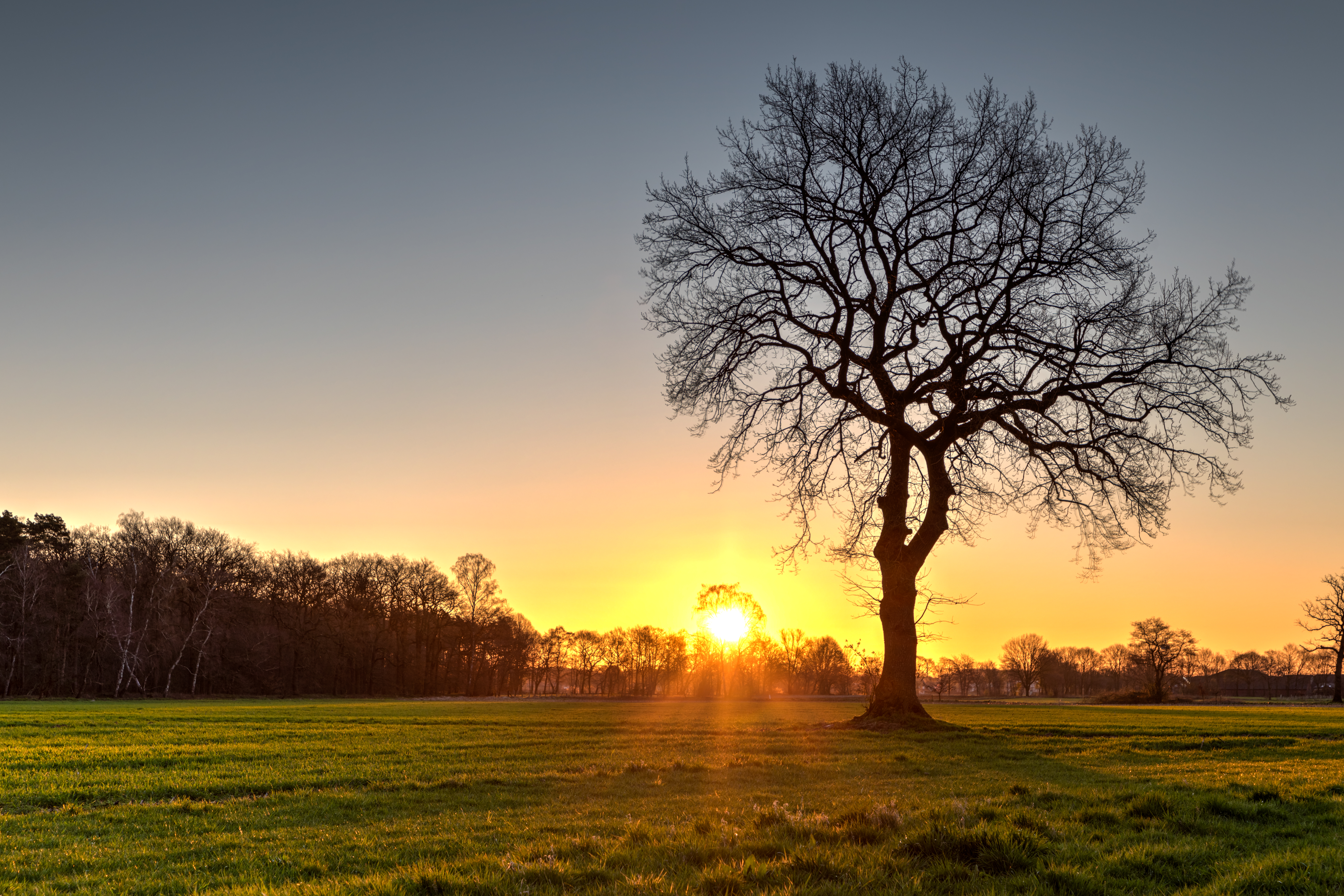 Feature picture. Sonnenaufgang.