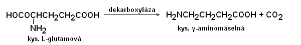 File:Dekarboxylace L-glutamove-kys.PNG