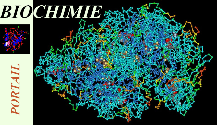 biochemistry