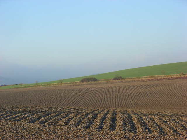 File:Farmland, South Stoke - geograph.org.uk - 687980.jpg