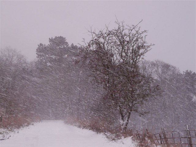 File:February blizzard - geograph.org.uk - 1144334.jpg