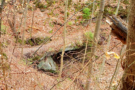 File:Felsenbrücke in der Hüttlenwaldschlucht bei Spiegelberg.jpg