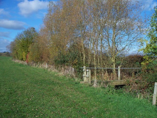 File:Footbridge over the brook - geograph.org.uk - 1562440.jpg