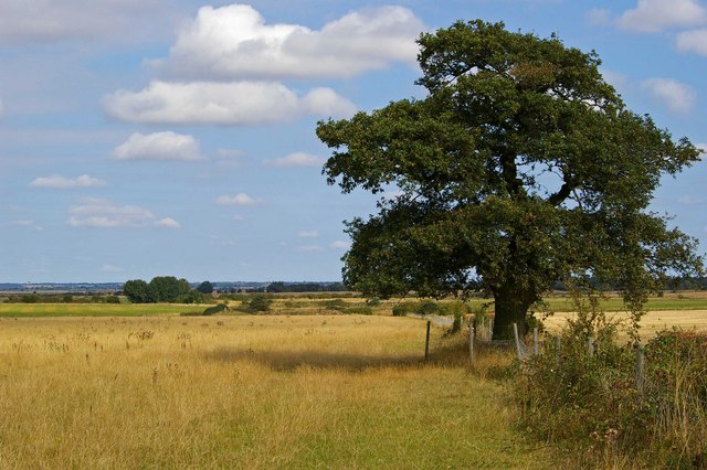 Footpath to Stansgate Abbey Farm - geograph.org.uk - 550721