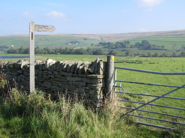 File:Footpaths and pastures in East Allen Dale - geograph.org.uk - 1033051.jpg