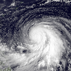 Typhoon Forrest (1983) Pacific typhoon in 1983