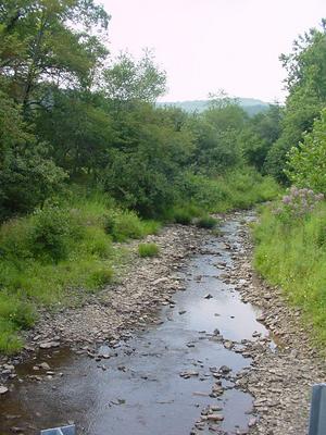 Grassy Lick Run in Kirby Grassy Lick Run Kirby WV 2004.JPG