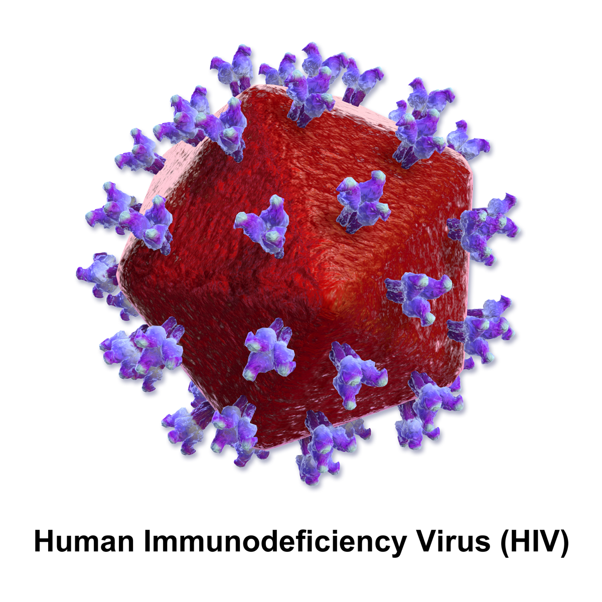 Rekonstrukcja 3D - wirus HIV