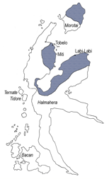Tobelo language North Halmahera language spoken in Indonesia