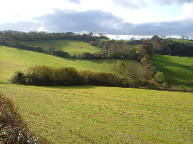 File:Head of Haccombe valley - geograph.org.uk - 278387.jpg