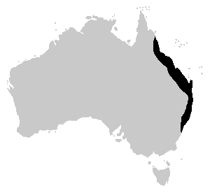 Litoria fallax range.PNG