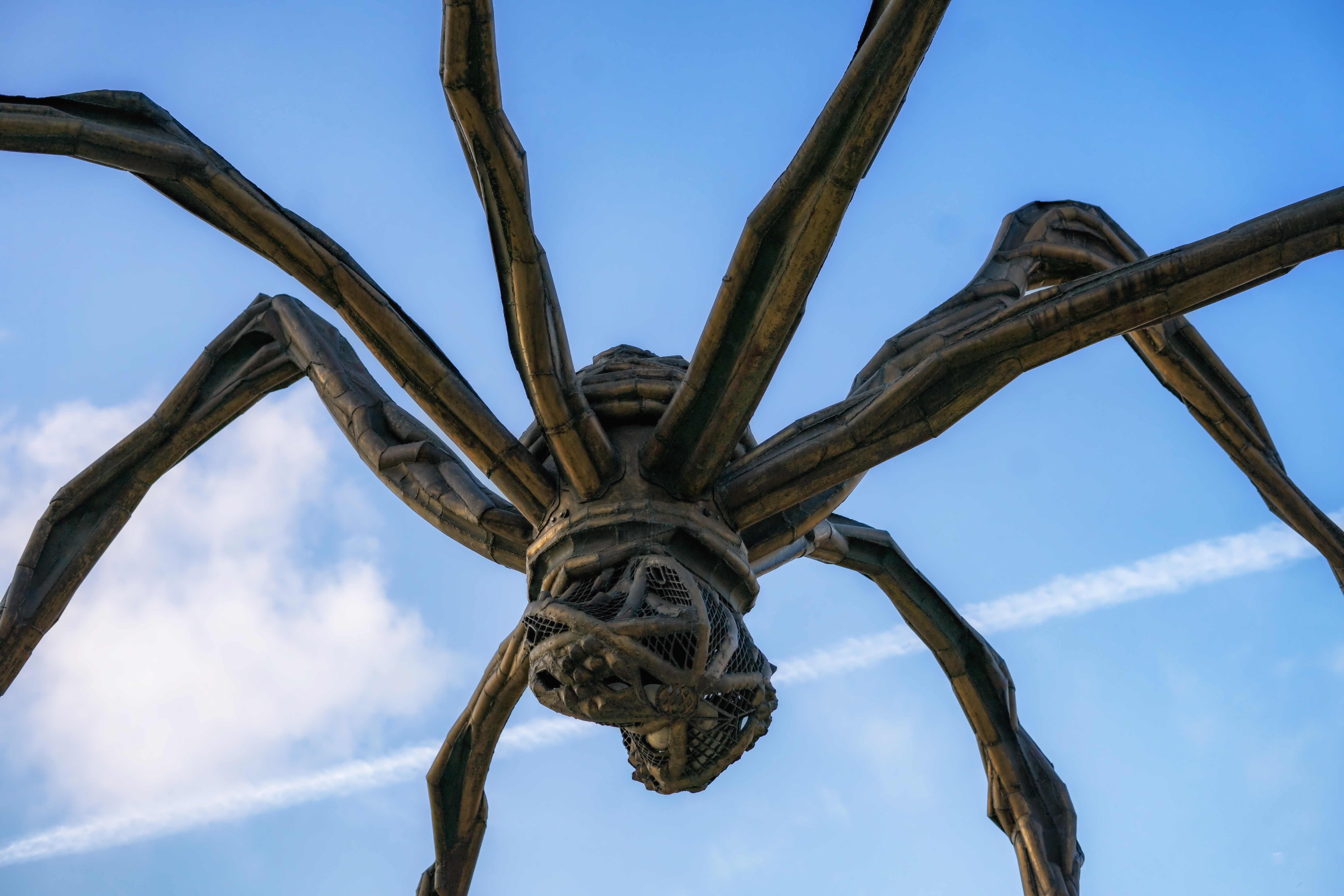 Artist Louise Bourgeois explored her love of spiders in her work. 