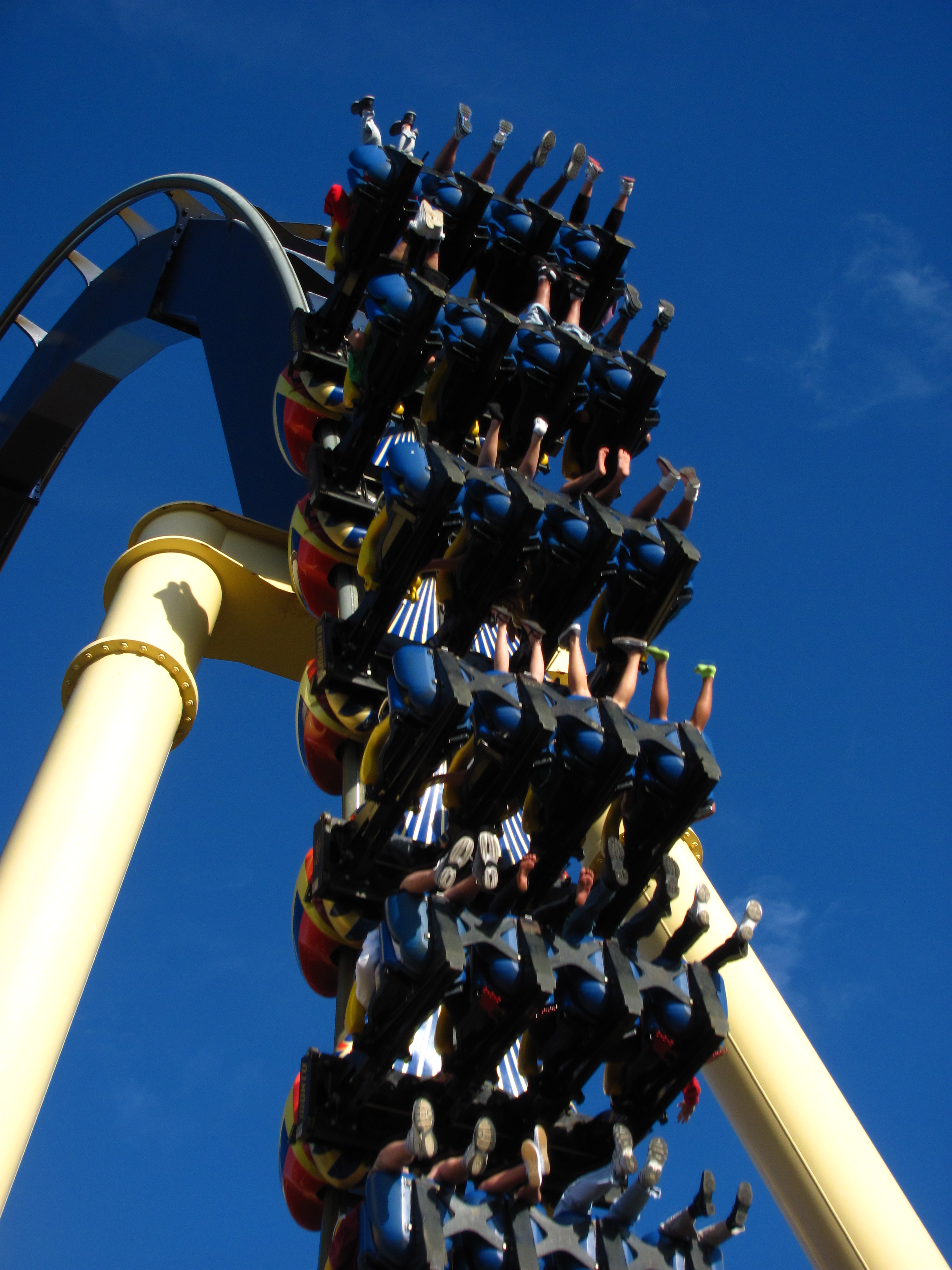 Montu - Busch Gardens Tampa (Tampa, Florida, United States)