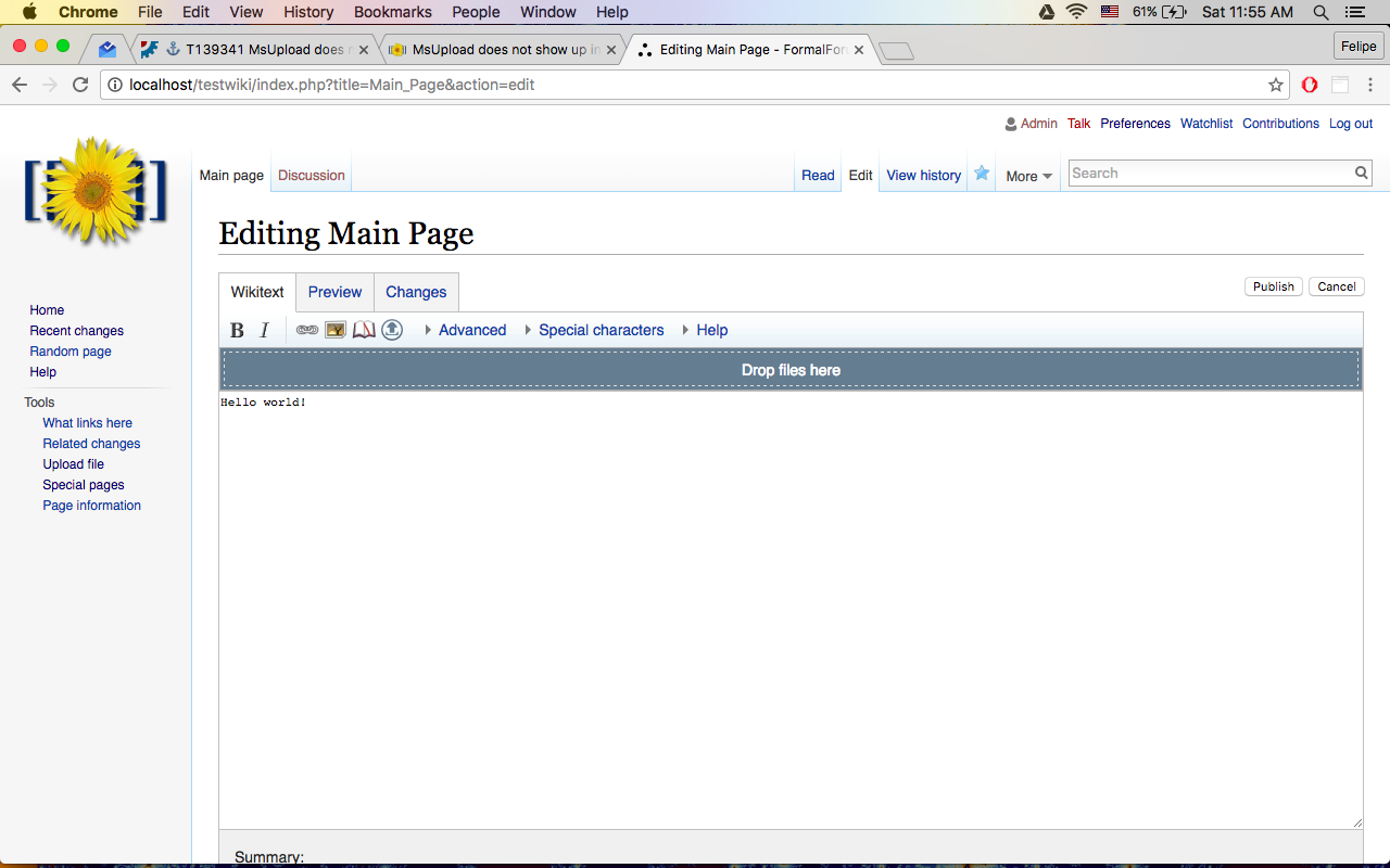 Main edition. Wikieditor.