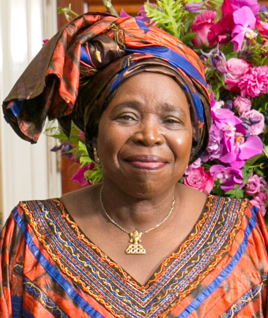 Nkosazana Dlamini Zuma Wikipedia