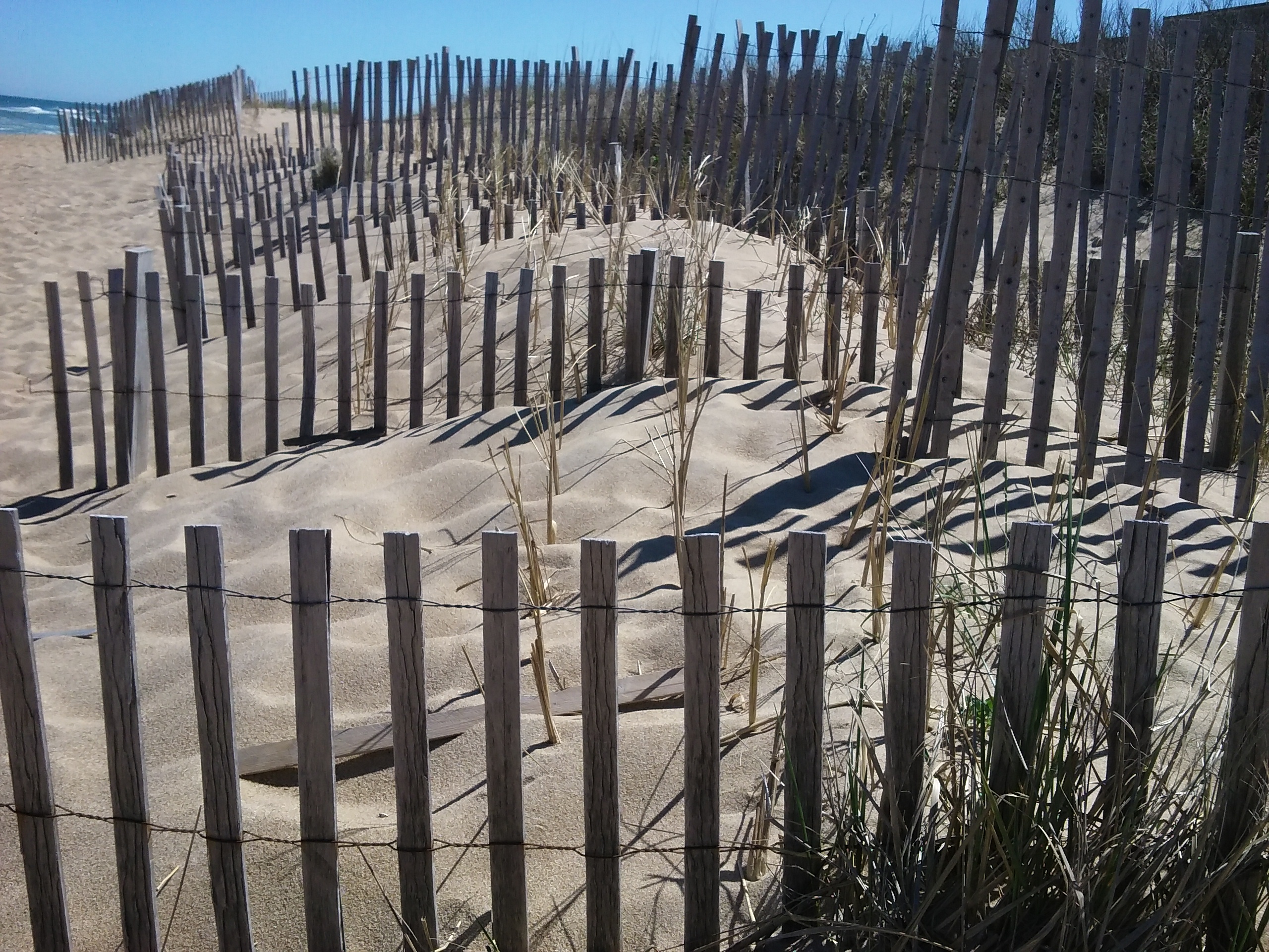 The History of the Outer Banks Dunes