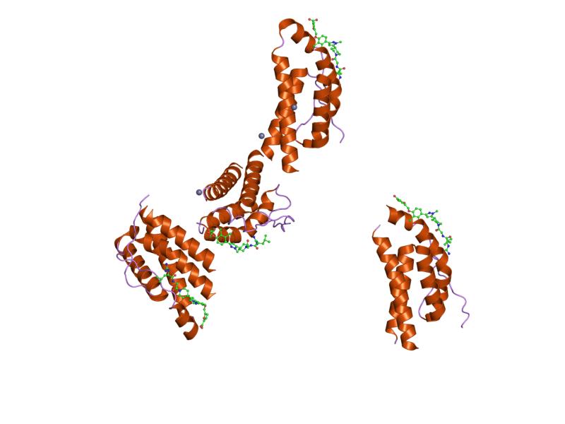 File:PDB 1py2 EBI.jpg