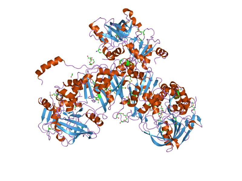 Доменные белки. Protein domain. LSU Archaea Proteins. Aquifex aeolicus. Домен доменные белки