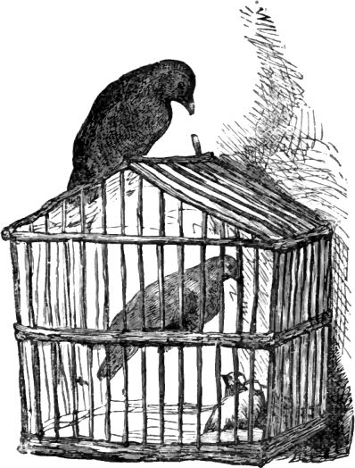 File:Page 161 illustration to Three hundred Aesop's fables (Townshend).png