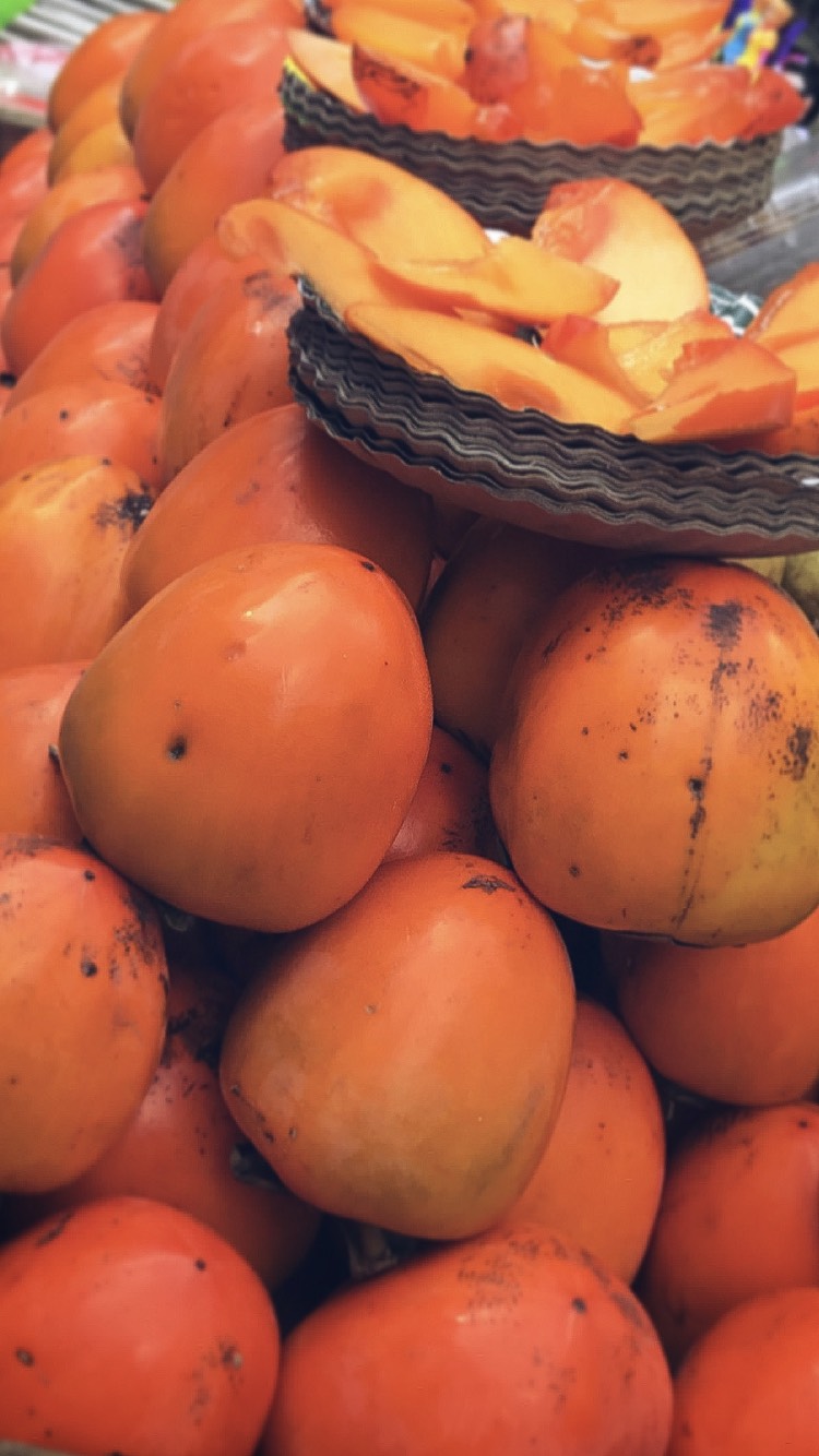 Diospyros kaki - Common Bonsai,Edible Fruit/Nuts,Fruits - Japanese Persimmon