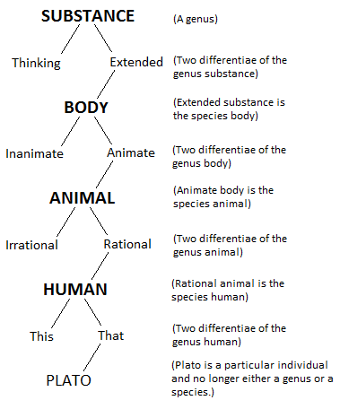 File:Porphyrian Tree.png