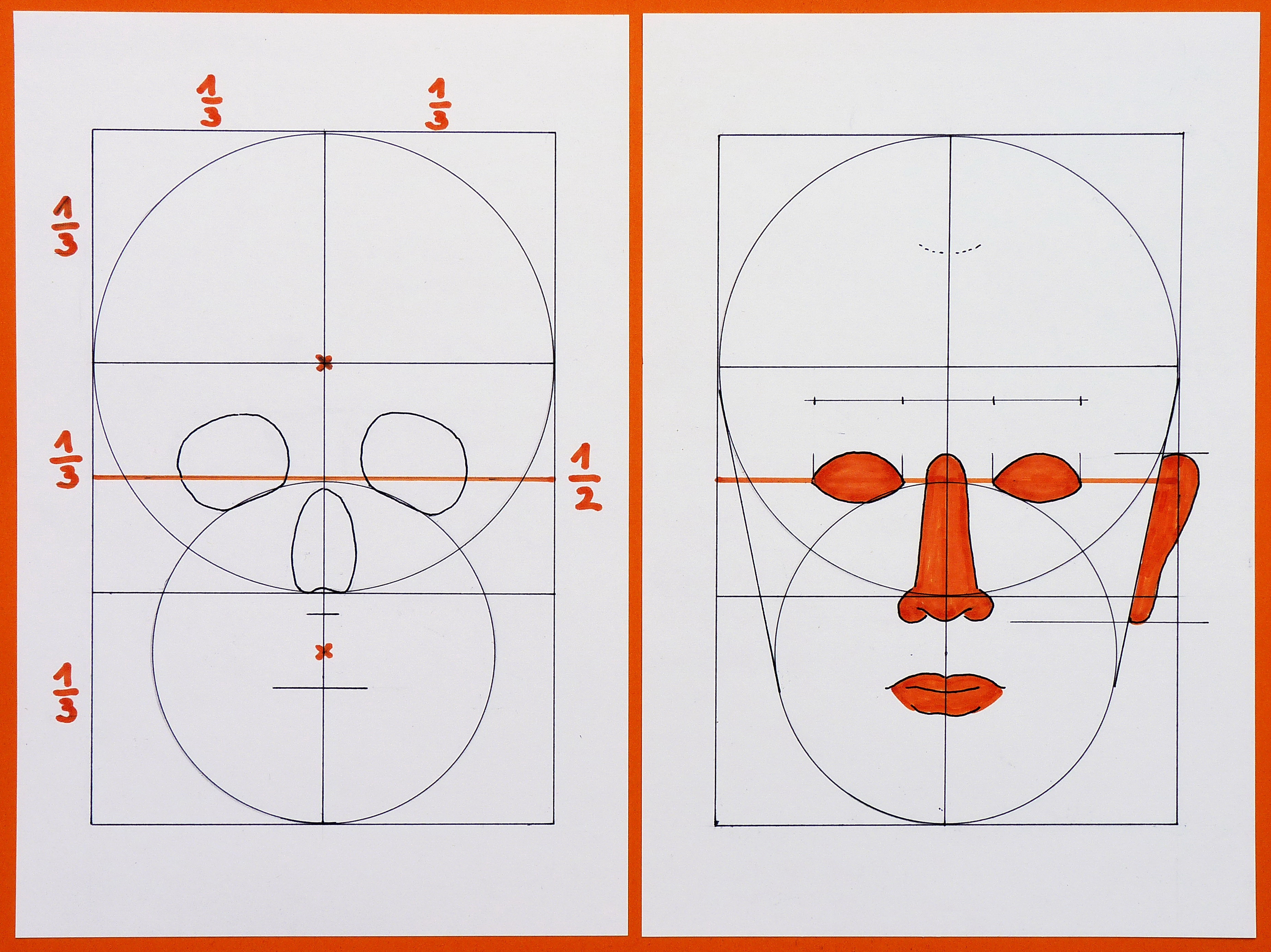 how to draw human faces proportions