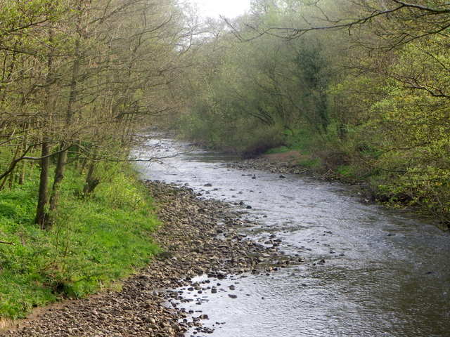 River Wyre near Scorton - geograph.org.uk - 2452169