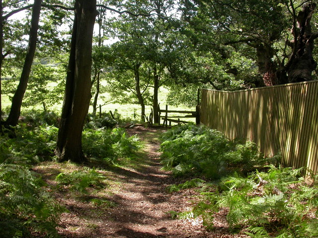 File:Rockford, stile - geograph.org.uk - 1450970.jpg