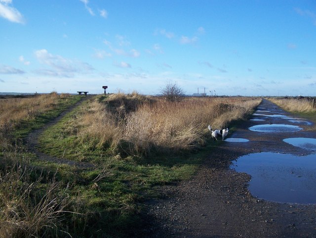 South Thames Estuary and Marshes