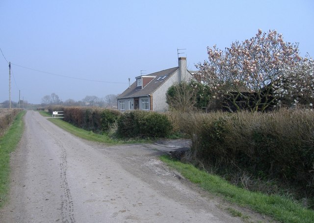 File:Springfields, Bell Lane, Marsh Common - geograph.org.uk - 380641.jpg