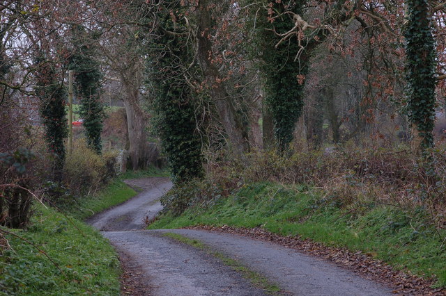 File:The Brague Road near Loughbrickland - geograph.org.uk - 282886.jpg