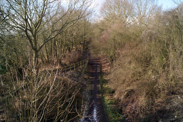 The Flitch Way - geograph.org.uk - 1710555