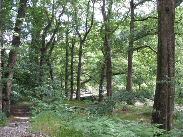 File:The path linking the car park at Y Ganllwyd with the Coed y Brenin Forest - geograph.org.uk - 489025.jpg