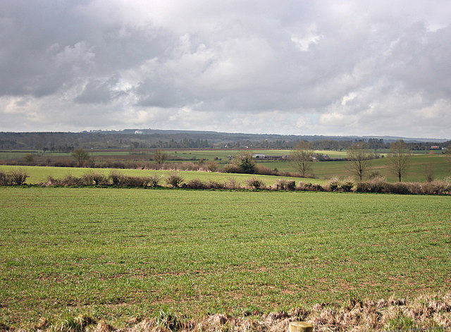 File:View from the cycleway - geograph.org.uk - 747825.jpg