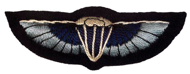 File:Wings SAS.jpg