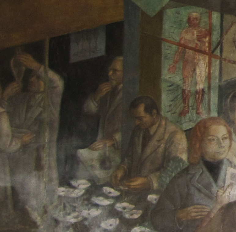 Lipschutz (al centro, de barba) retratado en el mural ''[[Historia de la medicina y la farmacia en Chile