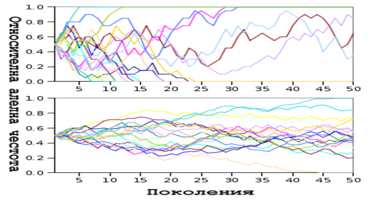 relative proportion frequency Allele Opinions frequency on