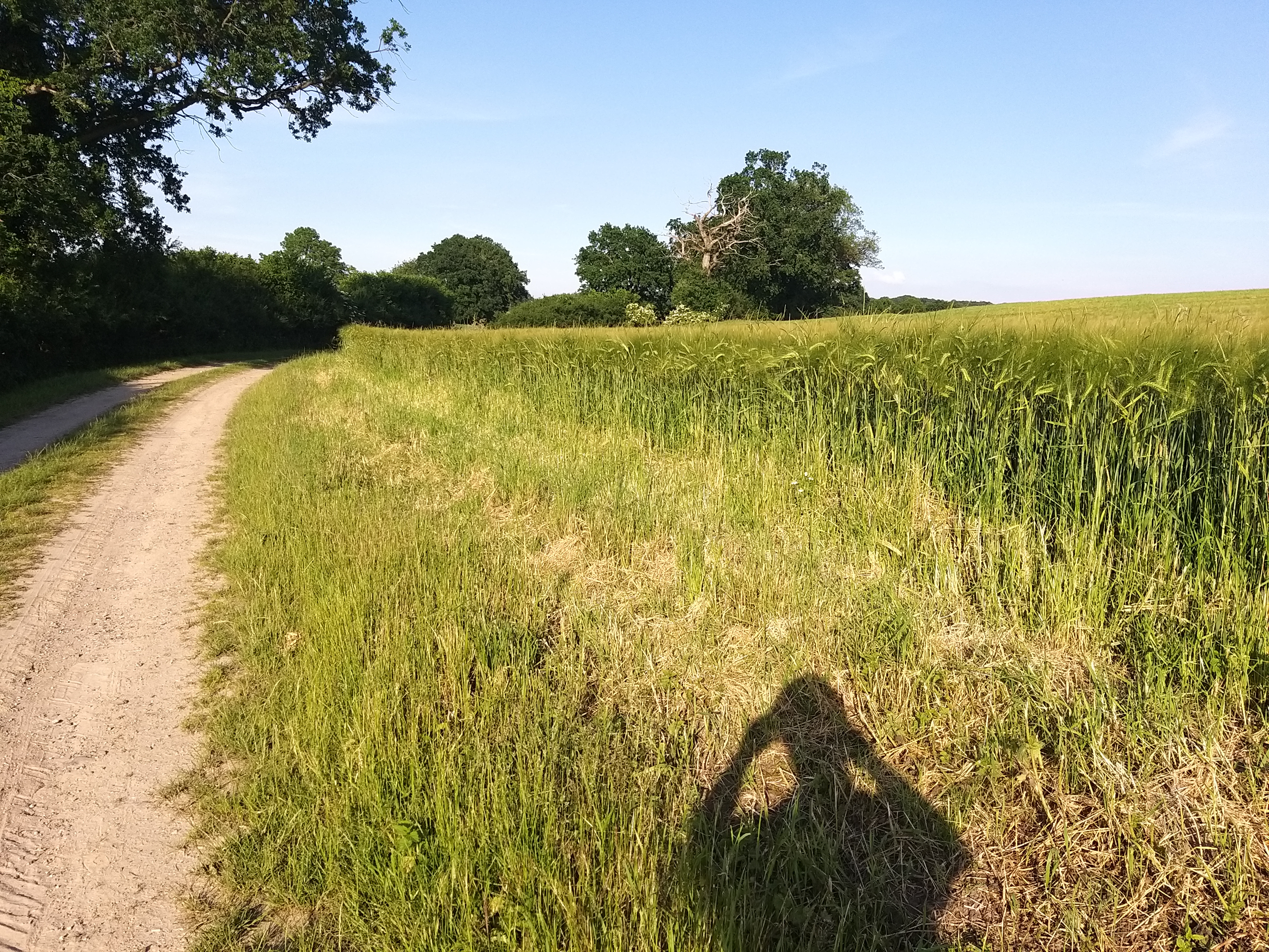 File Aussenbereich Schillsdorf Jpg Wikimedia Commons