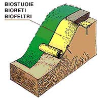 File:Biostuoia.jpg