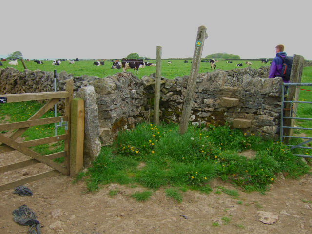 File:Crossing the Limestone Way - geograph.org.uk - 434812.jpg