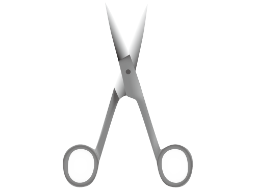 File:Large-scissors.jpg - Wikipedia